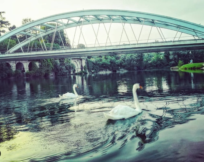 Canonica d’Adda – Flavio Alfieri