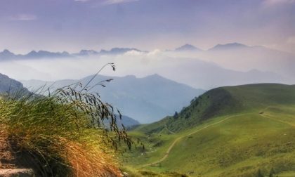 Piani dell'Avaro, Cusio- Franca Vitali