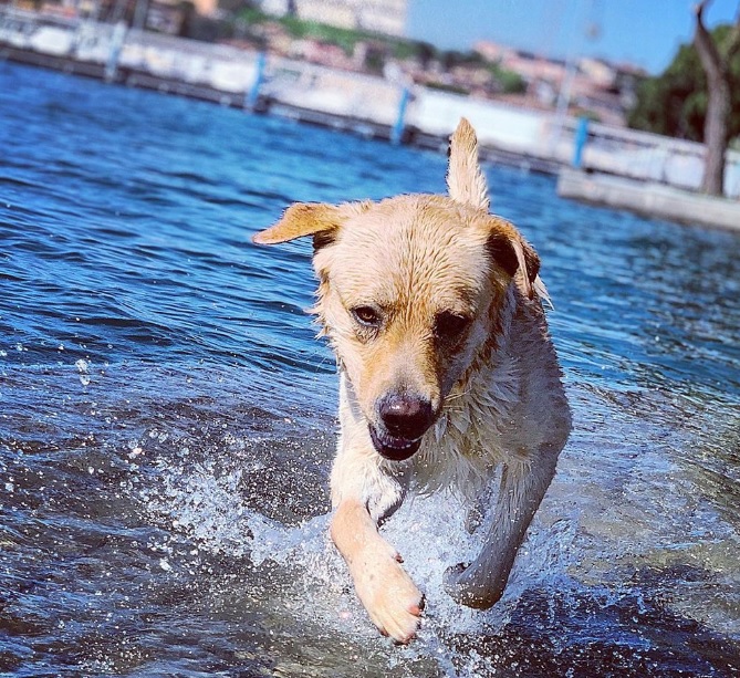 Sarnico – Frank Mattano