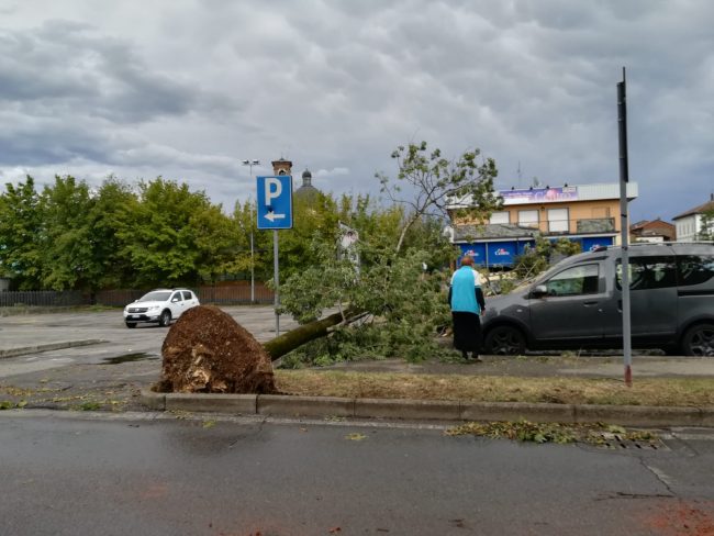 Notizie su Bergamo e provincia (29 luglio-3 agosto 2019)