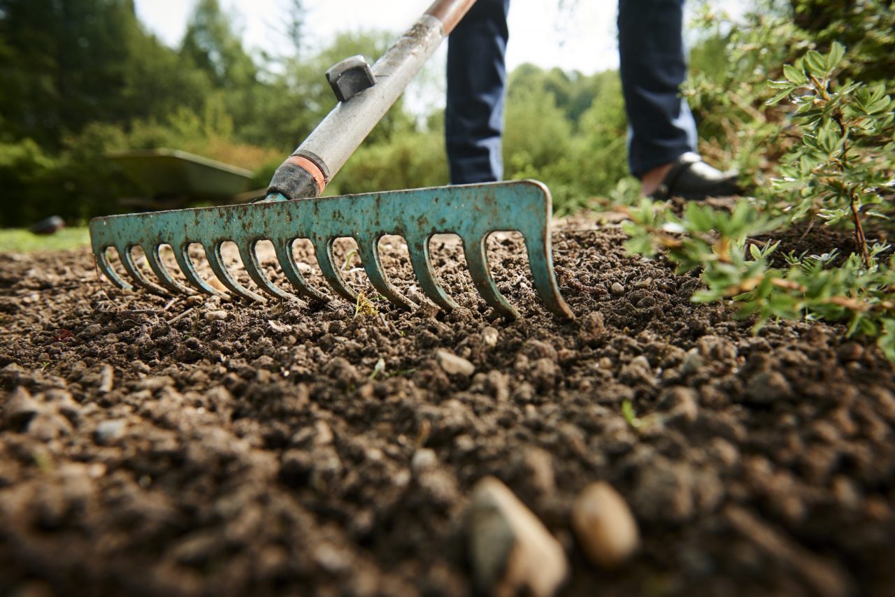 Giardinaggio, i lavori di fine estate