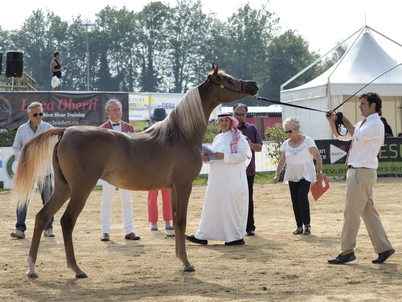 Country suona meglio di rurale Fiera di Sant’Alessandro al via