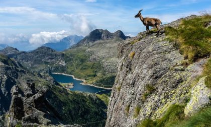 Sbagliano sentiero sul Pizzo del Becco e restano bloccate: soccorse due alpiniste