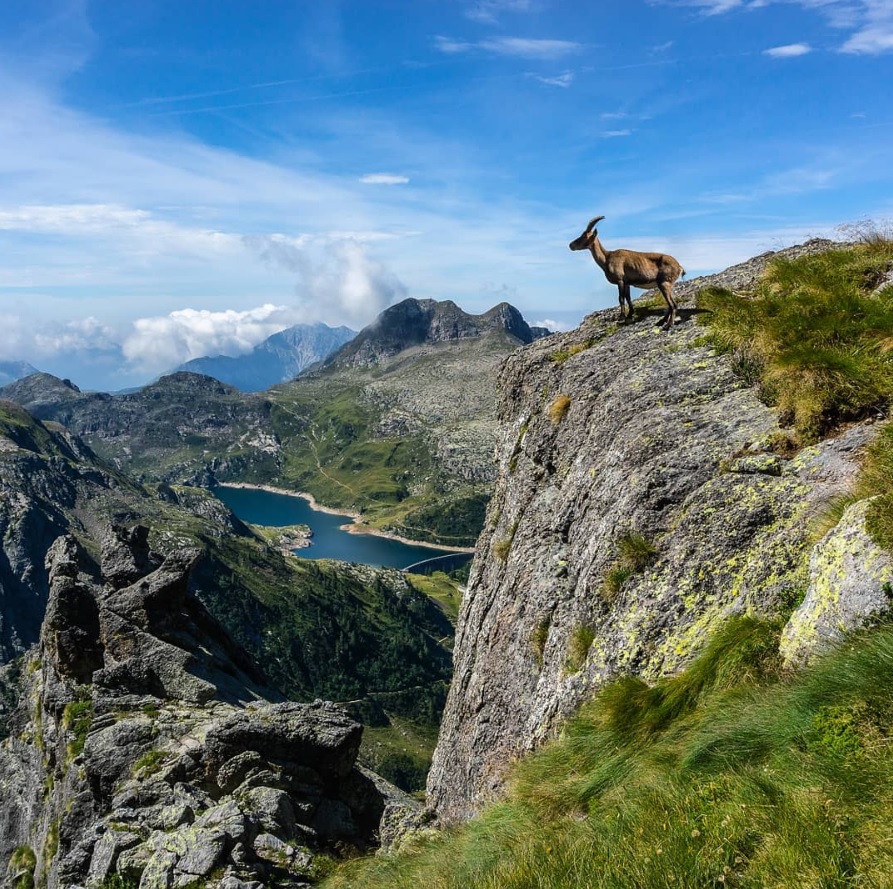 Sbagliano sentiero sul Pizzo del Becco e restano bloccate: soccorse due alpiniste