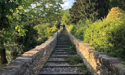 La vita è fatta a scale... - Francesca Duccoli