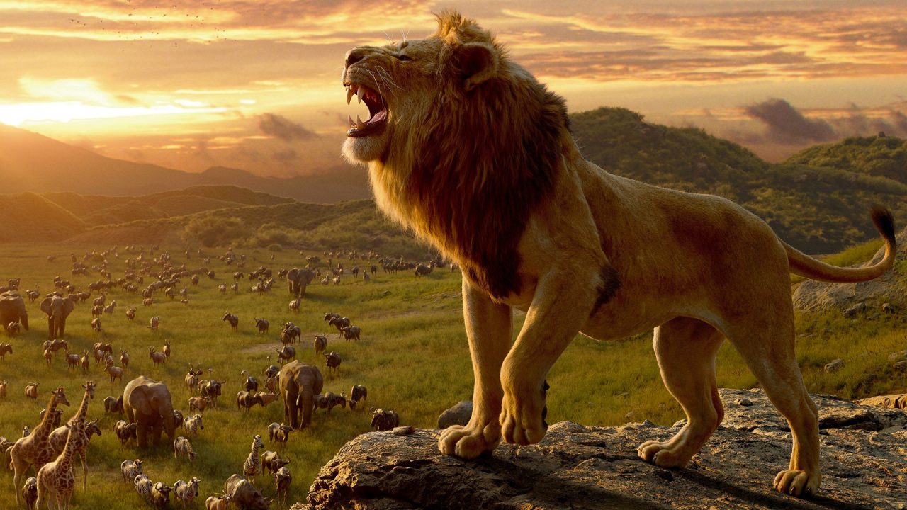 Il film da vedere nel weekend Il re leone: Disney, poche idee?