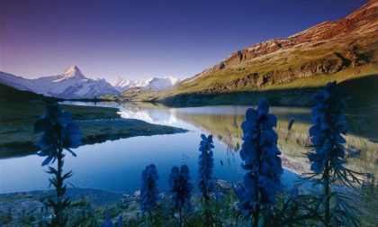 Posti fantastici e dove trovarli Oberland Bernese, ghiacci e rotaie