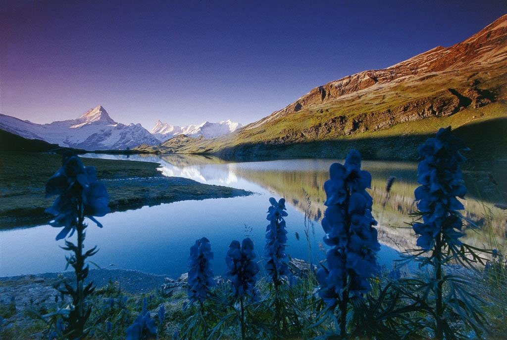Posti fantastici e dove trovarli Oberland Bernese, ghiacci e rotaie