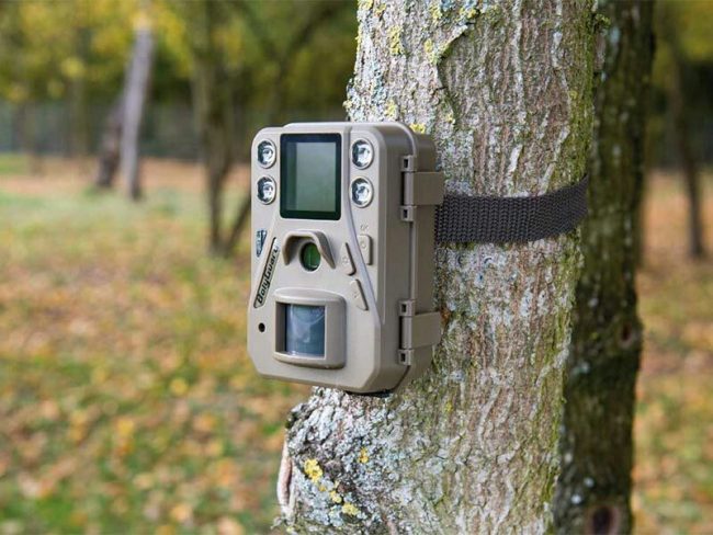 Bassa, fototrappole sulla ciclabile per pizzicare i furbetti dei rifiuti