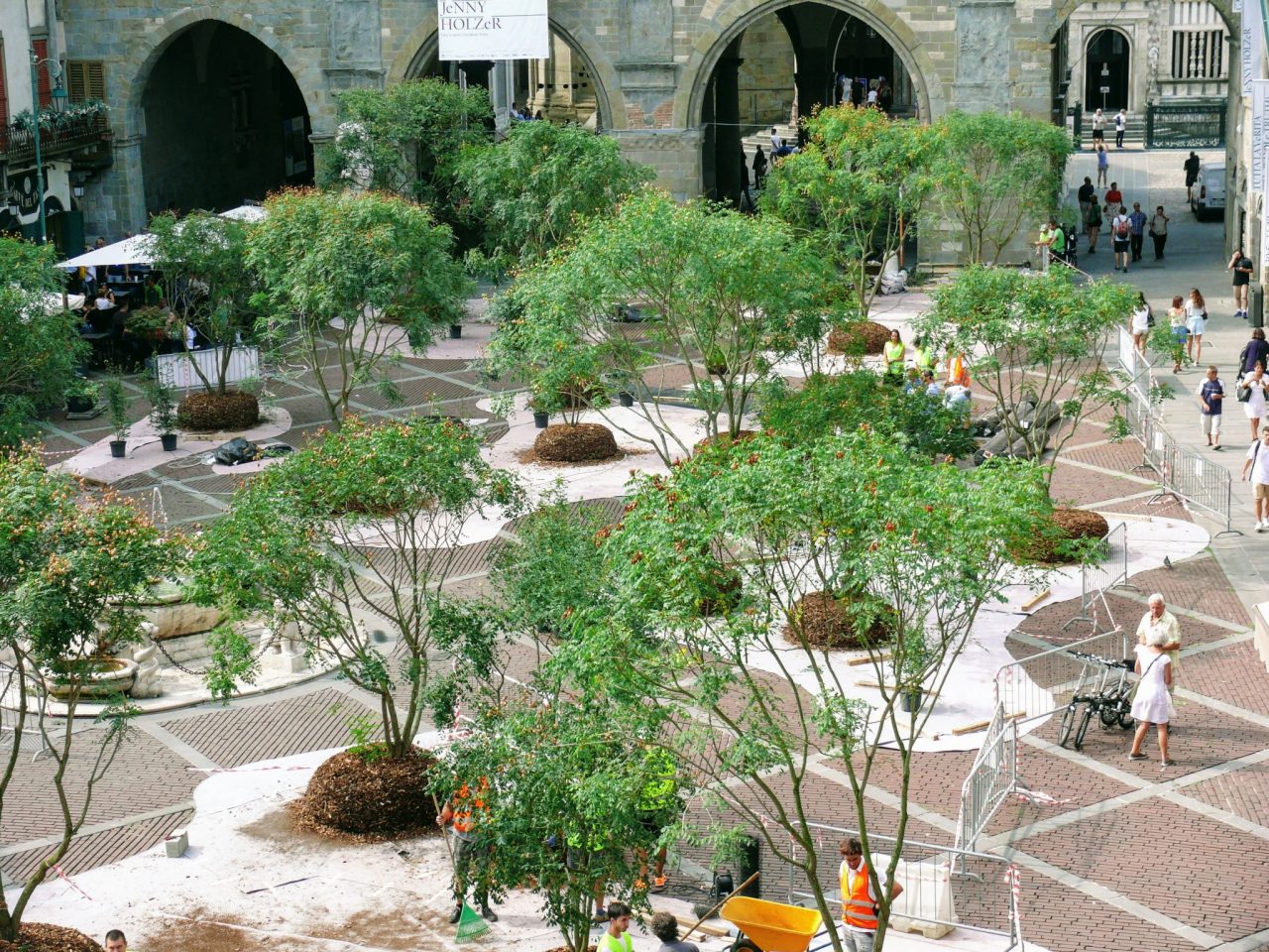 Piazza Vecchia ritorna verde con 35 alberi e 12mila vasi