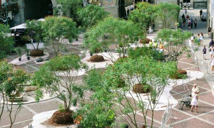 Piazza Vecchia ritorna verde con 35 alberi e 12mila vasi