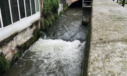Arrestato per spaccio dalla polizia locale nell’area tra via Manzù e via San Lazzaro