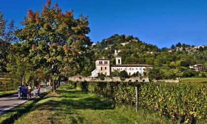 Astino, la Toscana a Bergamo - Luca Mauri