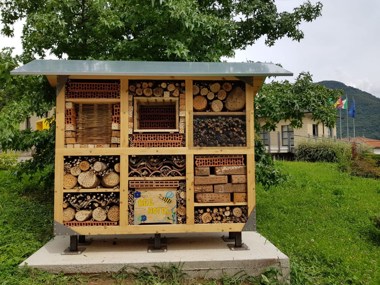 Ci salveranno le api di Capizzone (ma è stato un anno tragico…)