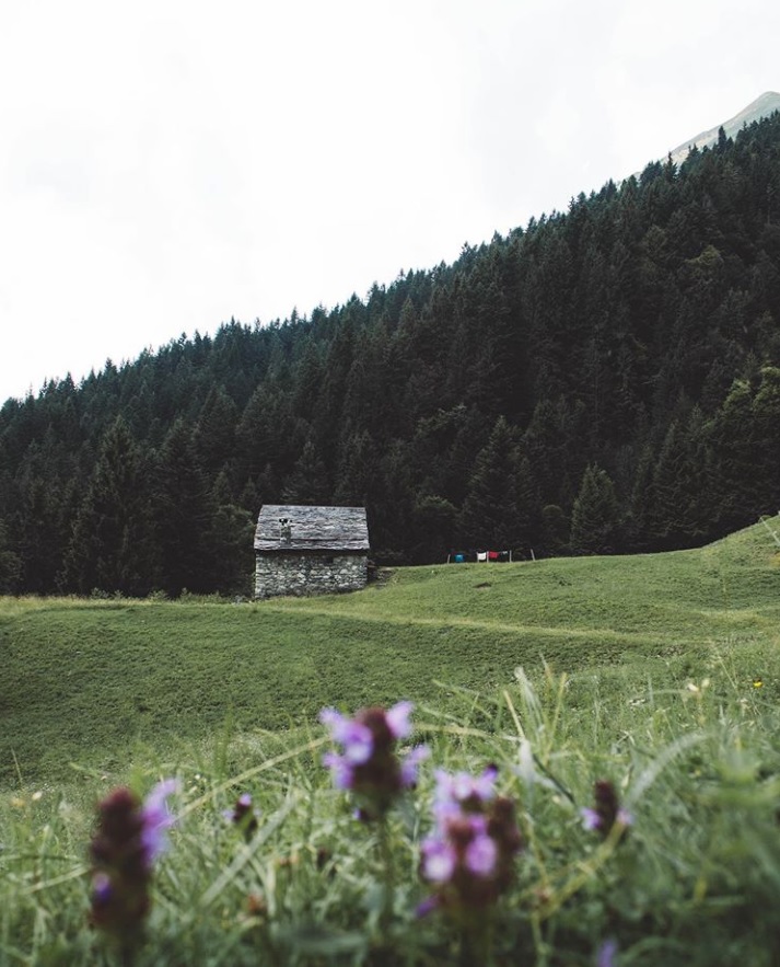 Bellezza solitaria (Val Sedornia) – Samuele Bonora