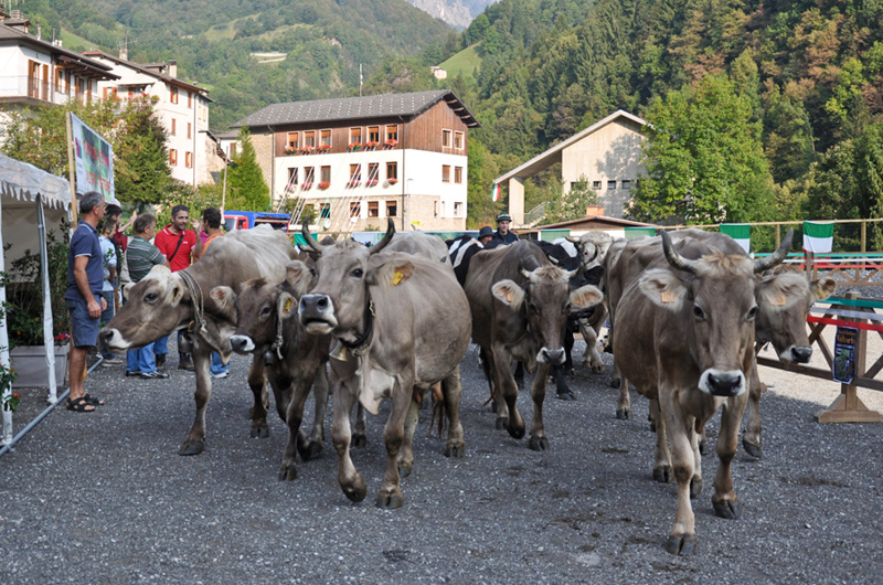 Il weekend nelle valli orobiche #125 Tutti gli eventi da non perdere