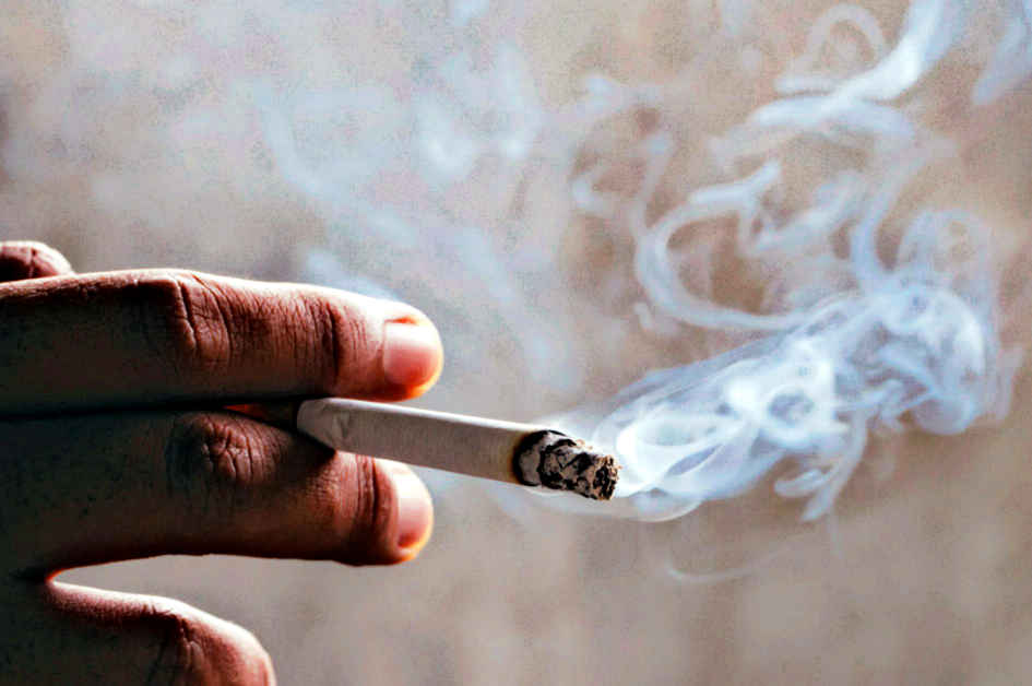 Il mondo sta andando… in cenere Ecco quanto fuma la nostra Terra