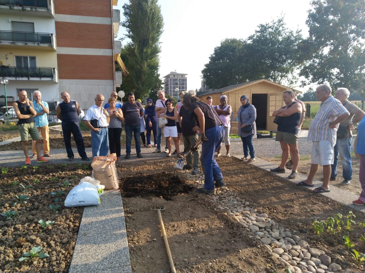 Gli orti di Oz, nati in quel di Zingonia dove c’era un parcheggio. E degrado