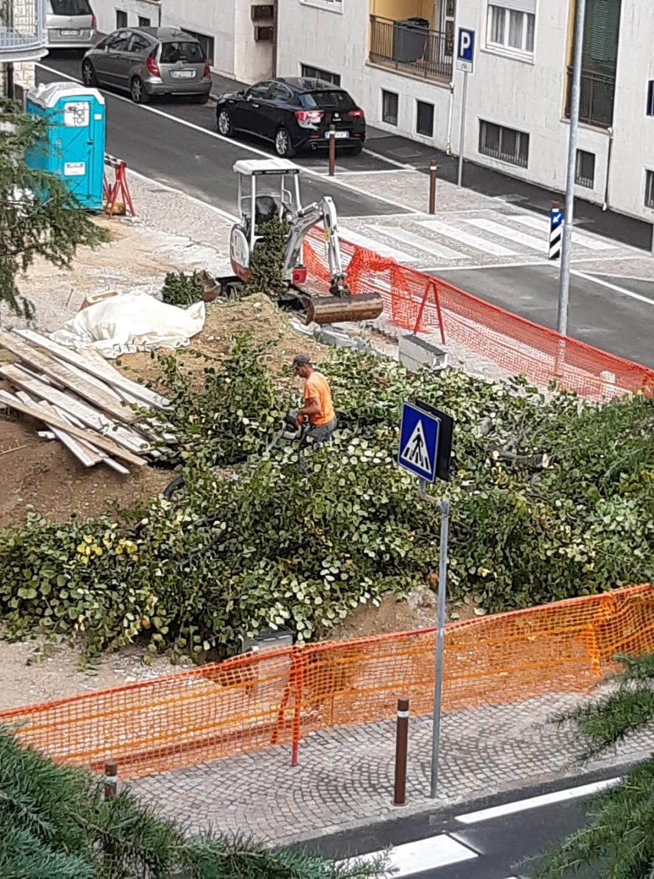 Zac! Pure ad Azzano via gli alberi E sui social esplode la polemica