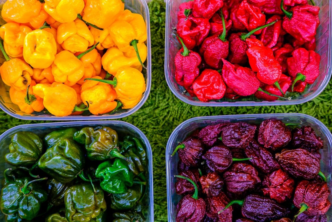Peperoncino e canapa volano alto Il festival (hot) va in Piazza Vecchia