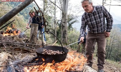 Il weekend nelle valli orobiche #129 Tutti gli eventi da non perdere