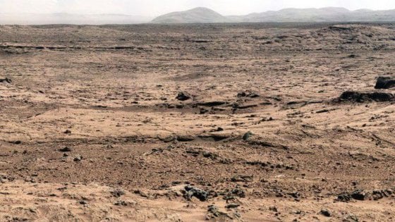 Cinque notizie che non lo erano Su Marte ci sono insetti che volano