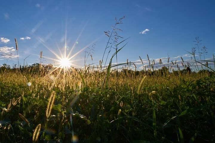 Stezzano entra nel Parco dei Colli (ma c’è pure a chi non va bene…)