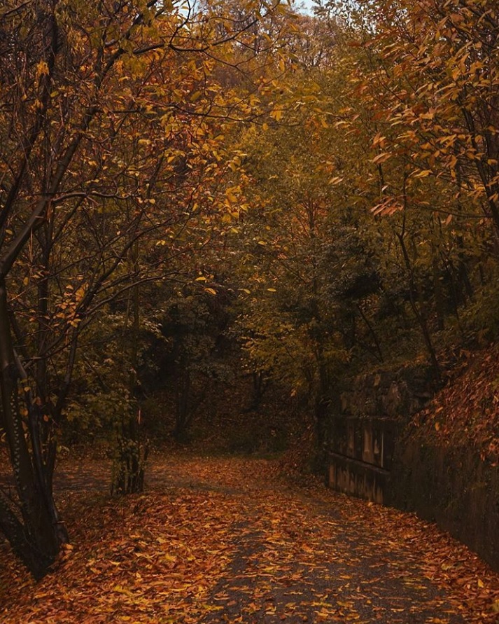 Autumn in love (Albenza) – Eleonora Simonetto