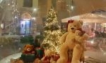 Peluche di Natale rubato in centro All'appello risponde Madama