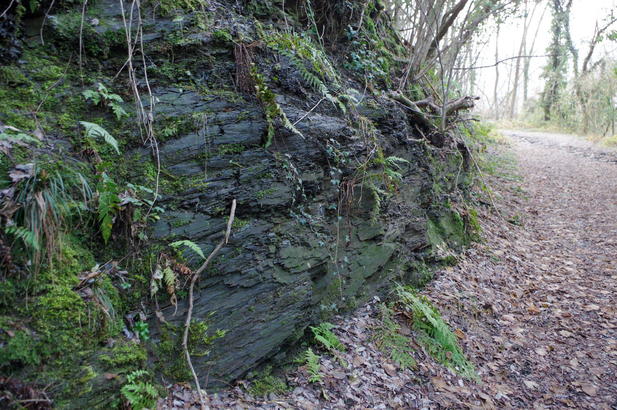 5 - La stratificazione tipica elle rocce
