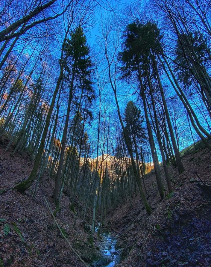 Squarci e scorci nel bosco a Oltre il Colle – Amanda