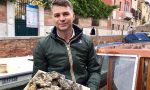 Il bergamasco che vende le ostriche (online) tra le “100 eccellenze italiane 2020”