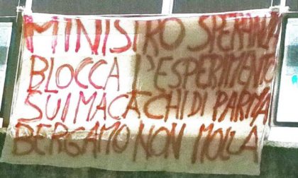 «Ministro blocchi l’esperimento sui macachi». A Bergamo striscione degli antivivisezionisti