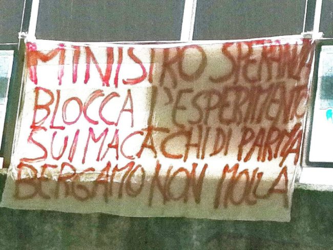 «Ministro blocchi l’esperimento sui macachi». A Bergamo striscione degli antivivisezionisti