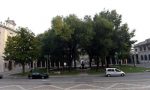 Piazza Dante, il taglio degli alberi finisce in Procura. E oggi camminata di protesta