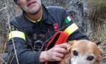 I Vigili del Fuoco salvano un cagnolino precipitato per cento metri sul Monte Blum