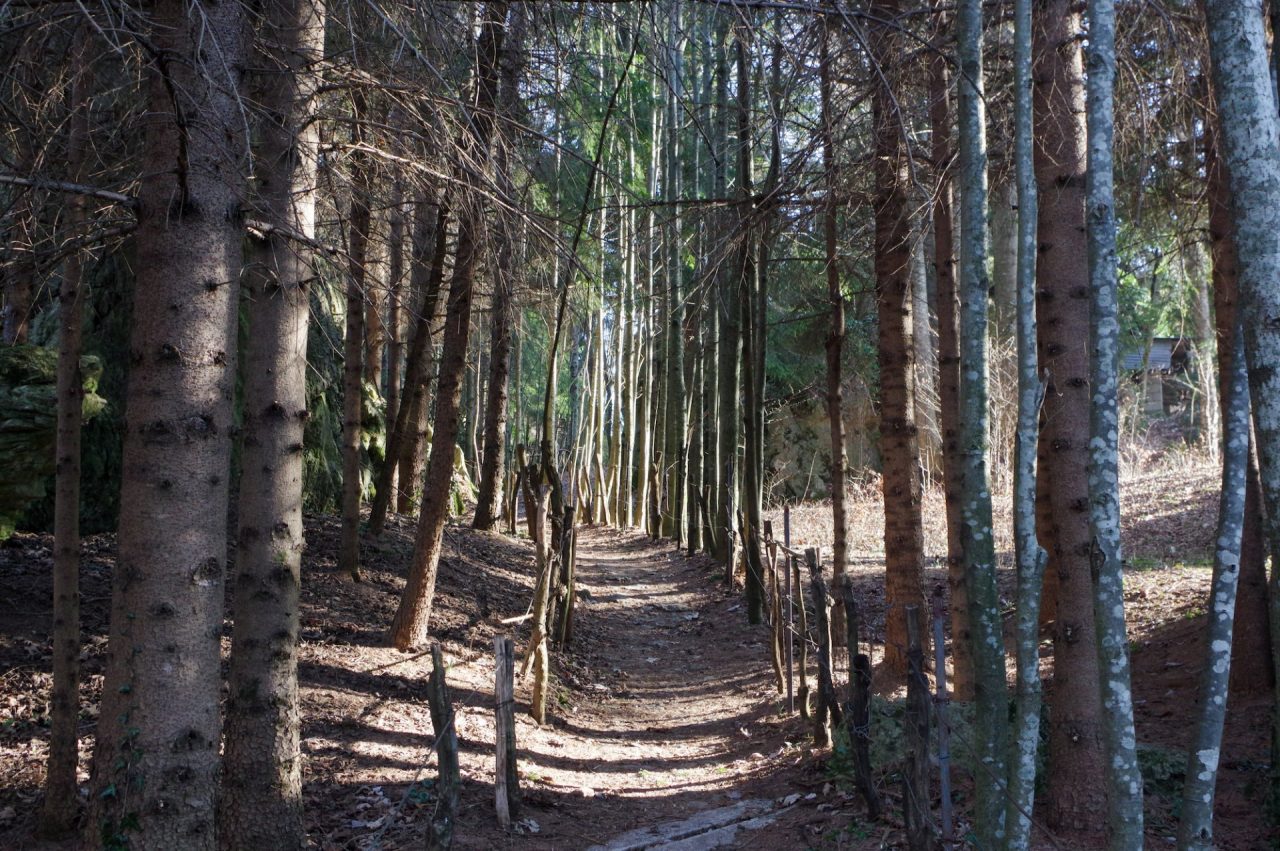 Un pic-nic sul monte Zucco, immersi nella natura e tra le prime fioriture