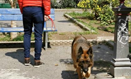 Tolleranza zero per cani senza guinzaglio: in un fine settimana 8 sanzioni