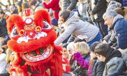 Le stupende foto del Capodanno cinese al Polaresco (in barba alla psicosi coronavirus)