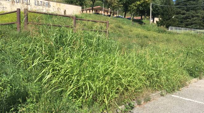 Tante promesse, pochi fatti: la lista delle segnalazioni non ascoltate dal Comune di Bergamo
