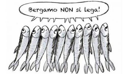 Le Sardine bergamasche invitano tutti a una riunione per trovare proposte concrete