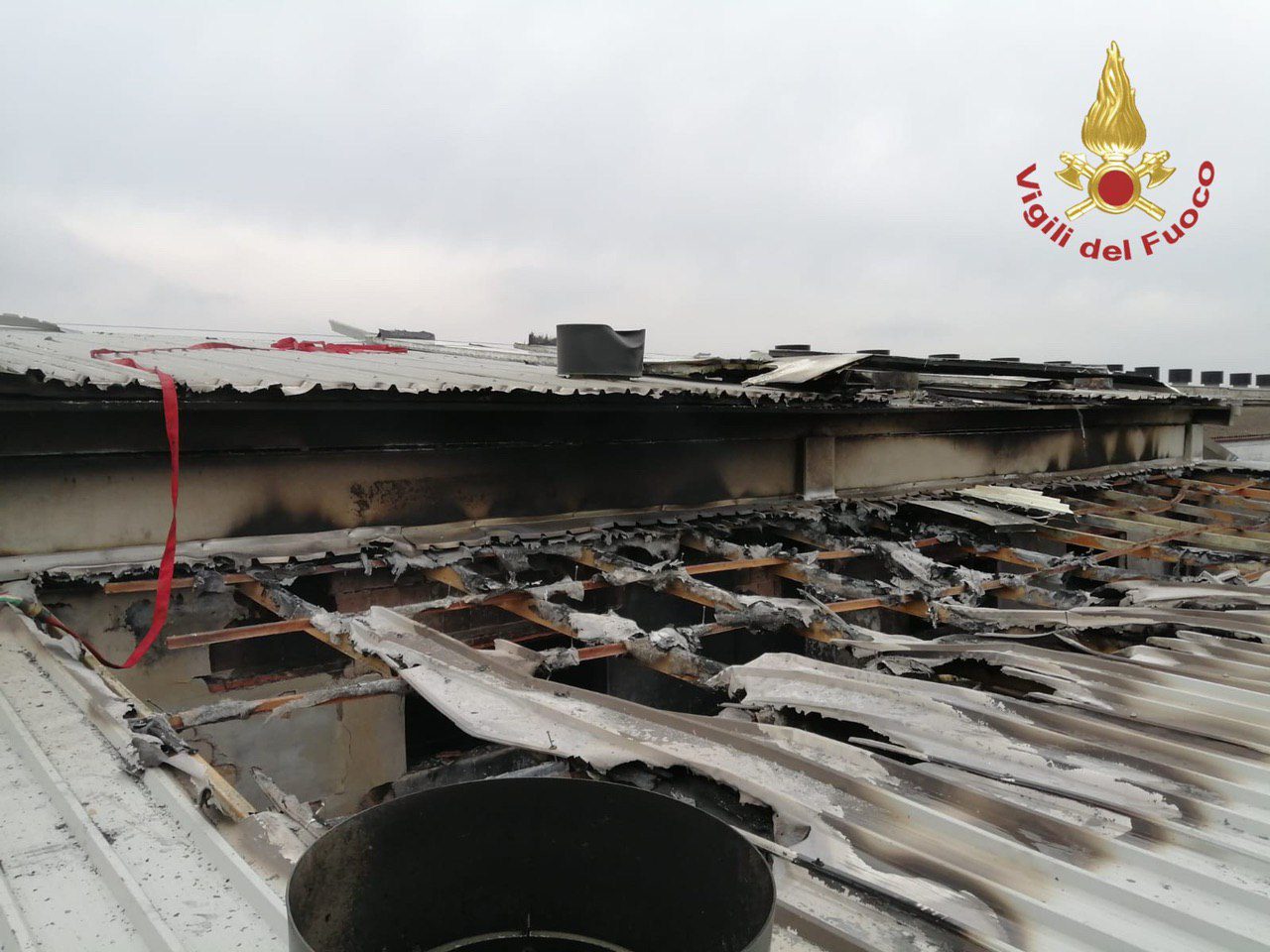 Incendio in un capannone a Torre Pallavicina con all’interno seimila maiali