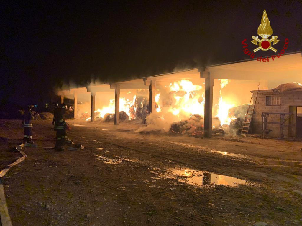 Incendio in un fienile a Stezzano: salvati 150 animali, in fiamme 400 quintali di fieno