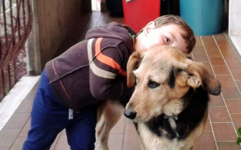«Gli animali non trasmettono il virus, vogliate loro bene»