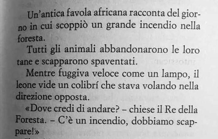 L’antica favola africana che racconta quanto sia importante che ognuno faccia la sua parte