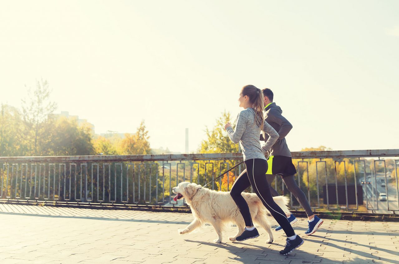 Chi va a correre, in fondo, è un po’ una bestia: ecco quale