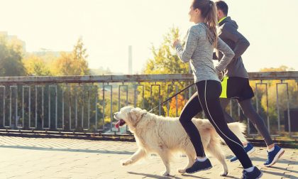 Chi va a correre, in fondo, è un po’ una bestia: ecco quale