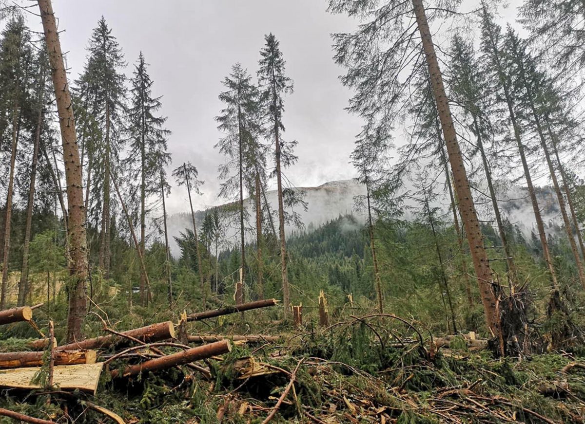 Otto milioni a 21 Comuni bergamaschi per i danni della tempesta dell’ottobre 2018