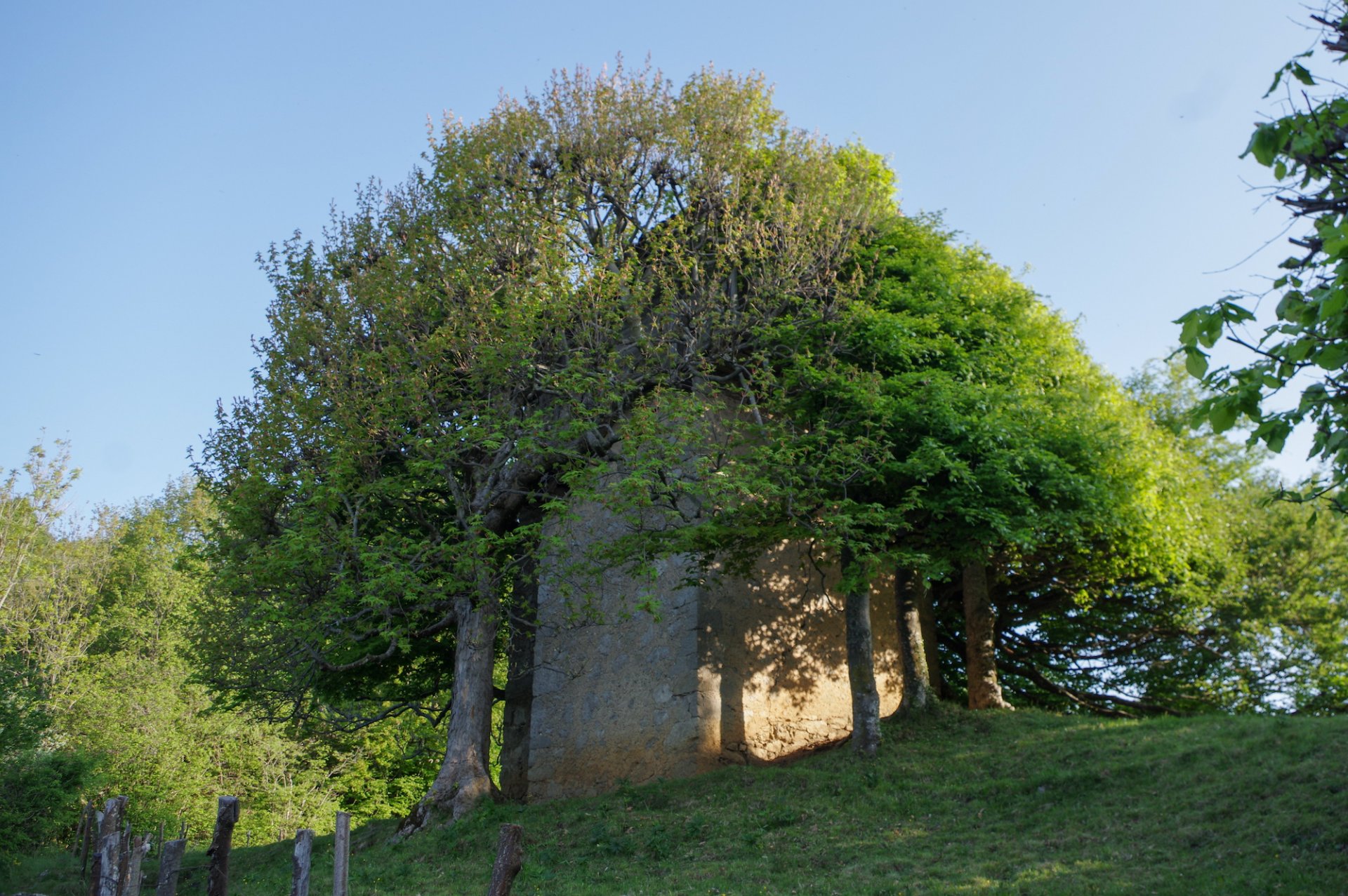 1 - Roccolo sul percorso