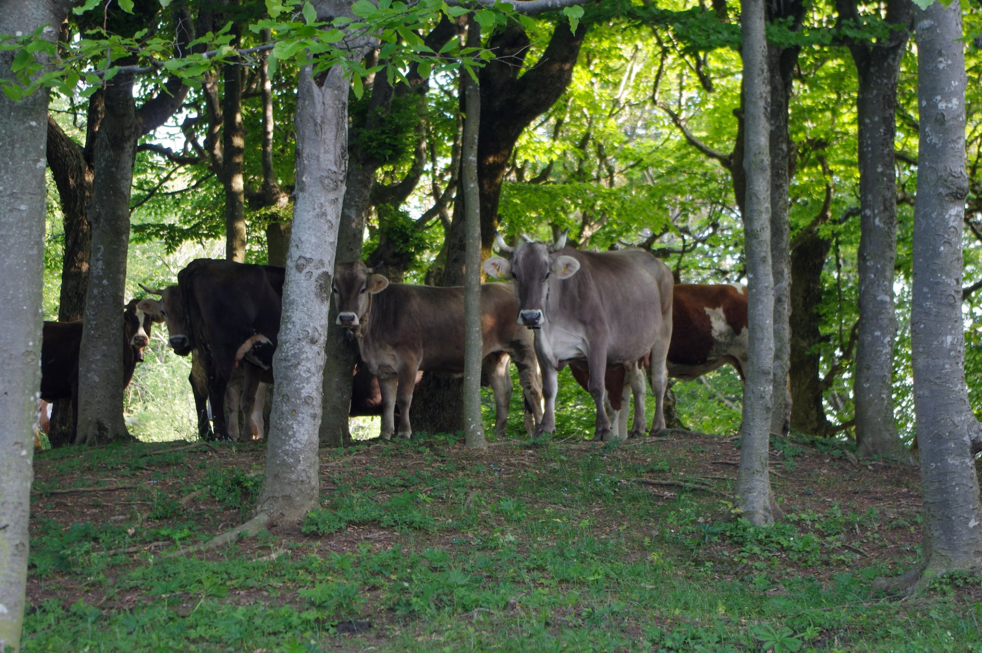 2 - Sul percorso